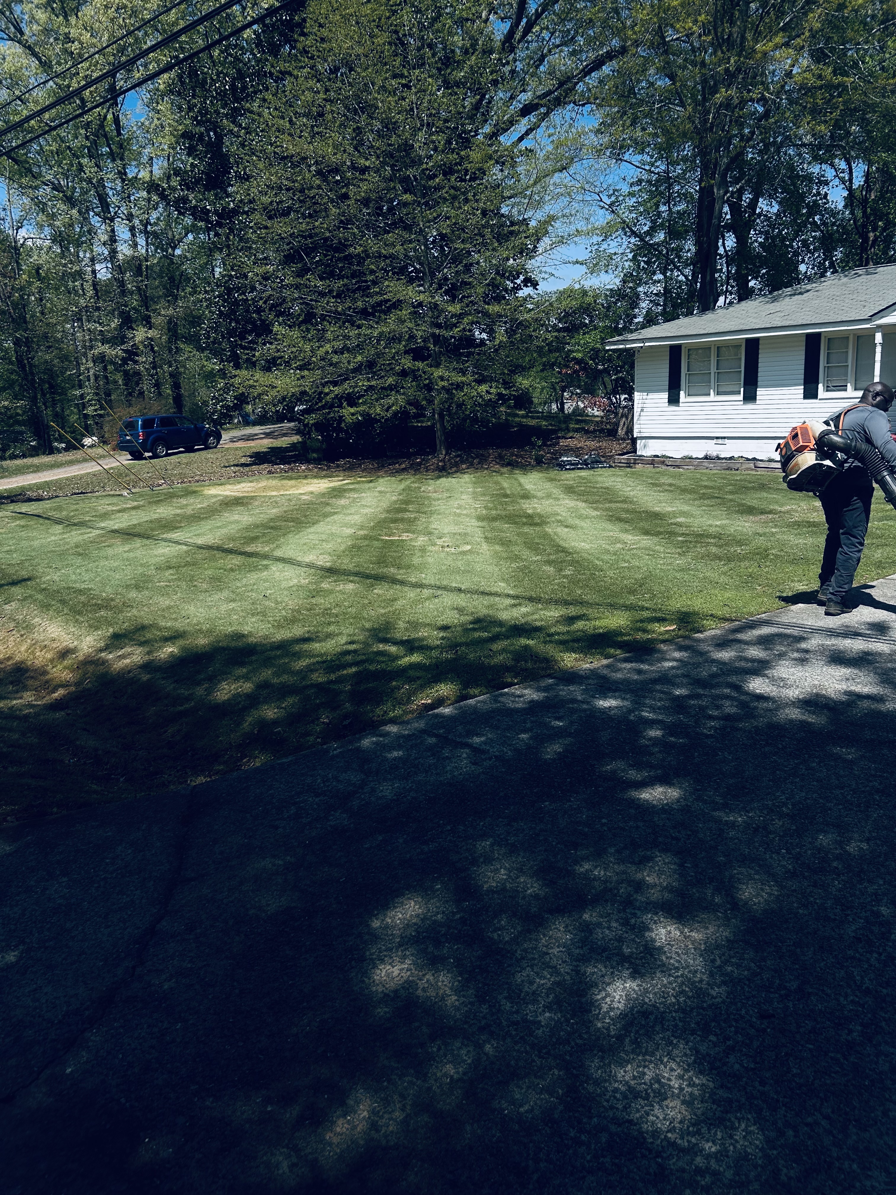 Job 3 - Landscaping Design