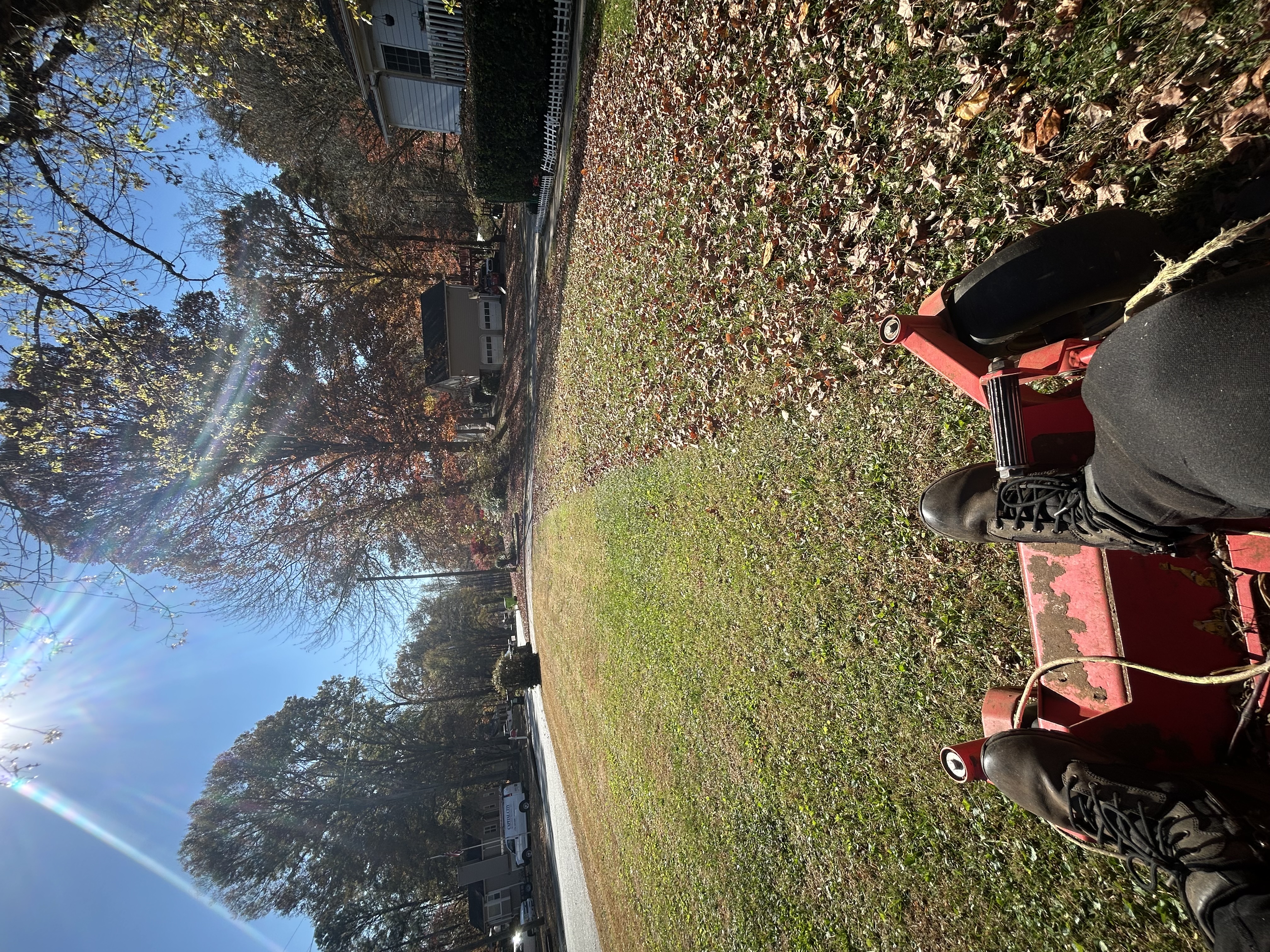 Job 5 - Yard Maintenance